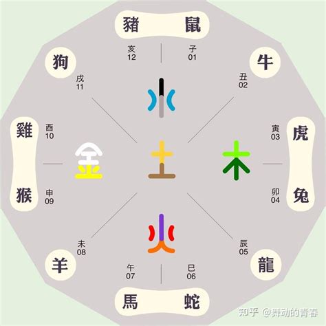 幸運色五行顏色|五行命理！12生肖的幸運數字和顏色